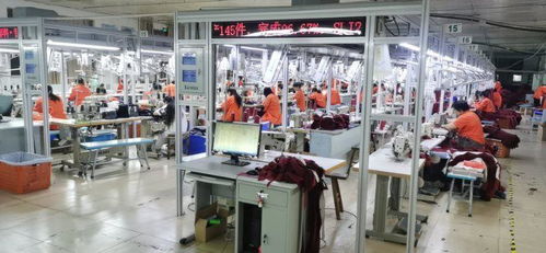 全球經(jīng)濟(jì)按下慢放鍵，中國(guó)珠寶首飾回收修理服務(wù)逆勢(shì)顯韌性